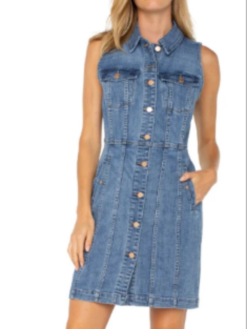 NWT Liverpool Los Angeles Sleeveless Denim Trucker Dress - Size XS/S - CAH-YOOT!